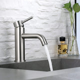 Matte Black Single Handle One Hole Bathroom Faucet RB0709