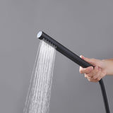 Luxury 316 Stainless Steel Outdoor Shower with 10-Inch Rain Shower Head and Handheld Sprayer