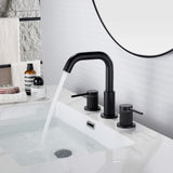 Two Handle Bathroom Sink Faucet with 360-Degree Rotating Spout RB1064