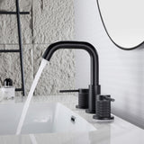 Two Handle Bathroom Sink Faucet with 360-Degree Rotating Spout RB1064