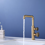 Industrial Double Handle Single Hole Bathroom Faucet Brushed Gold