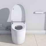 Floor Mounted Multiple Function Automatic Flush Intelligent WC Sanitary Sensor Smart Toilet