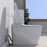 Floor Mounted Multiple Function Automatic Flush Intelligent WC Sanitary Sensor Smart Toilet